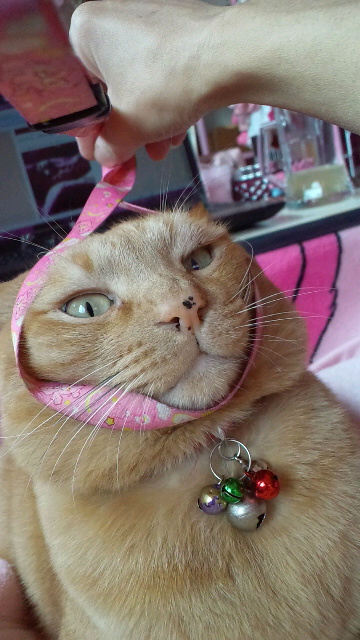 2011120213340000.jpg