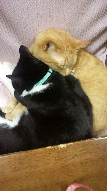 2011120412500000.jpg