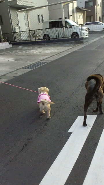 2011120715570000.jpg