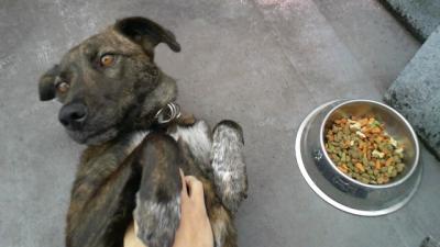 2011120815010000.jpg