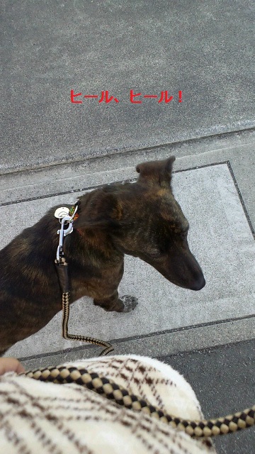 2011122416240000.jpg