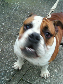 2005-11-26 08:33:41