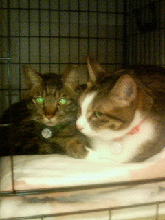 200601292031000.jpg
