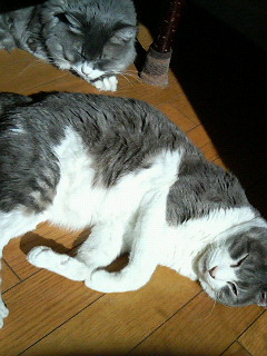 200602051231000.jpg