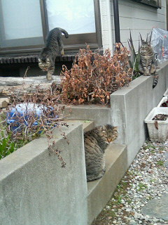 200602220923000.jpg