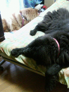 200603060701000.jpg