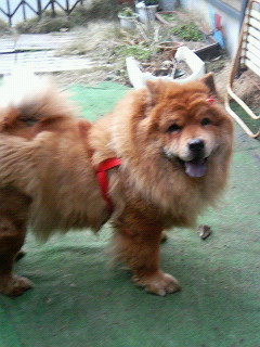 200603301619000.jpg