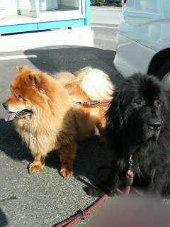 200605041539001.jpg