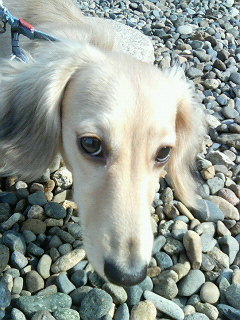200605310746000.jpg