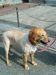 200606290737000.jpg