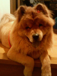 200607242119000.jpg