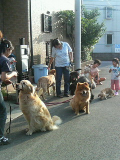 200607301718000.jpg