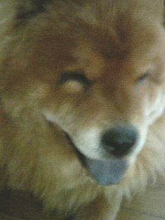 200608211335000.jpg
