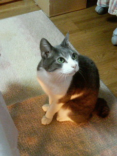 200611180643000.jpg