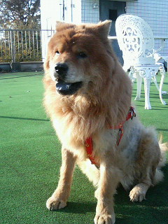 200611291443000.jpg