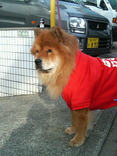 200701020915000.jpg