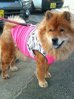 200701050922000.jpg
