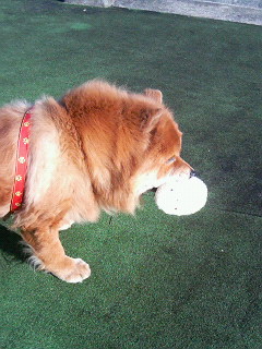 200701051336000.jpg