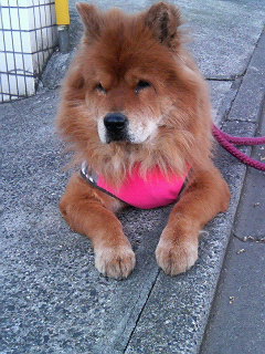200701071444001.jpg