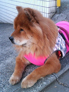200701071444000.jpg