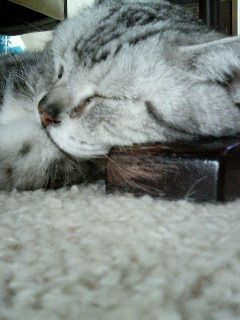 200701071226000.jpg