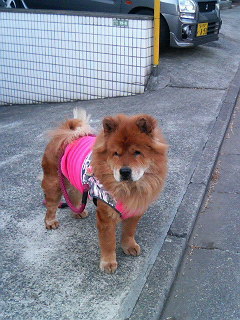 200701131555000.jpg