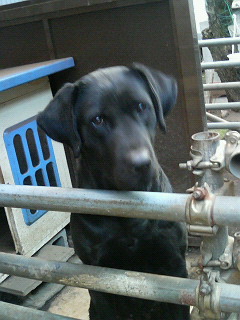 200701141604000.jpg