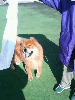 200701151306000.jpg