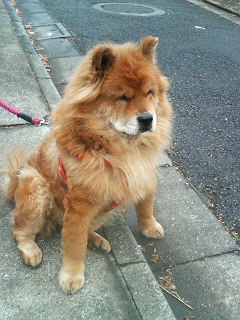 200701171353000.jpg