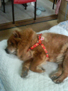 200701181254000.jpg