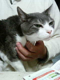 200701202104000.jpg