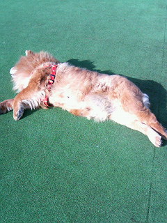 200701231415000.jpg
