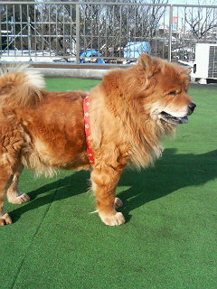 200701231412000.jpg