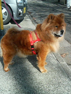 200701271033000.jpg