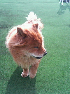 200701191255000.jpg