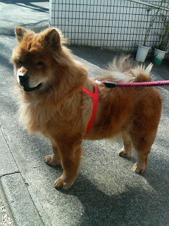 200702021034000.jpg