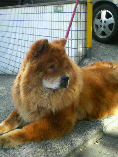 200704300720000.jpg