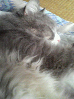 200705191505000.jpg