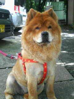 200706151007000.jpg