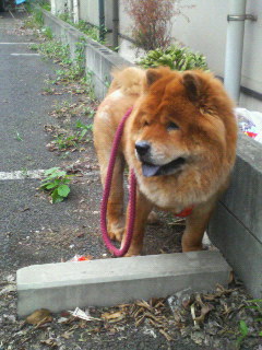 200706281807000.jpg