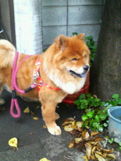 200707310645000.jpg