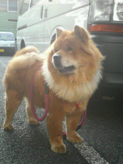 200708270740000.jpg