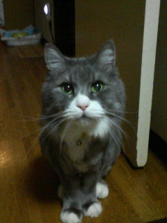 200709031738000.jpg