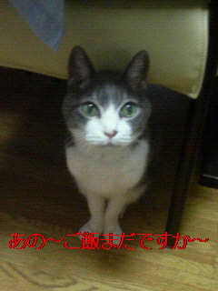 200709291538000.jpg