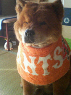 200710180815000.jpg