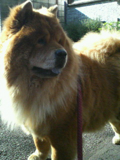 200712150951000.jpg