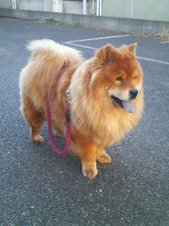 200802150741000.jpg