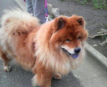2008040916390000.jpg