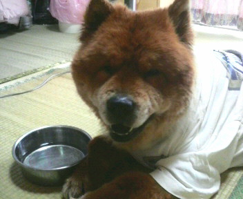 2008080212360000.jpg