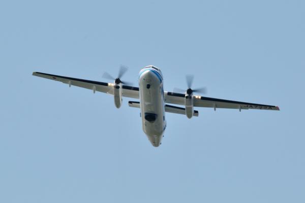 DSC_0215.jpg